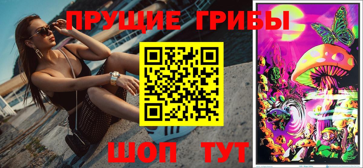 Псилоцибиновые грибы Cubensis  Псилоцибиновые грибы GOLDEN TEACHER  Вход с VPN  Белгород 