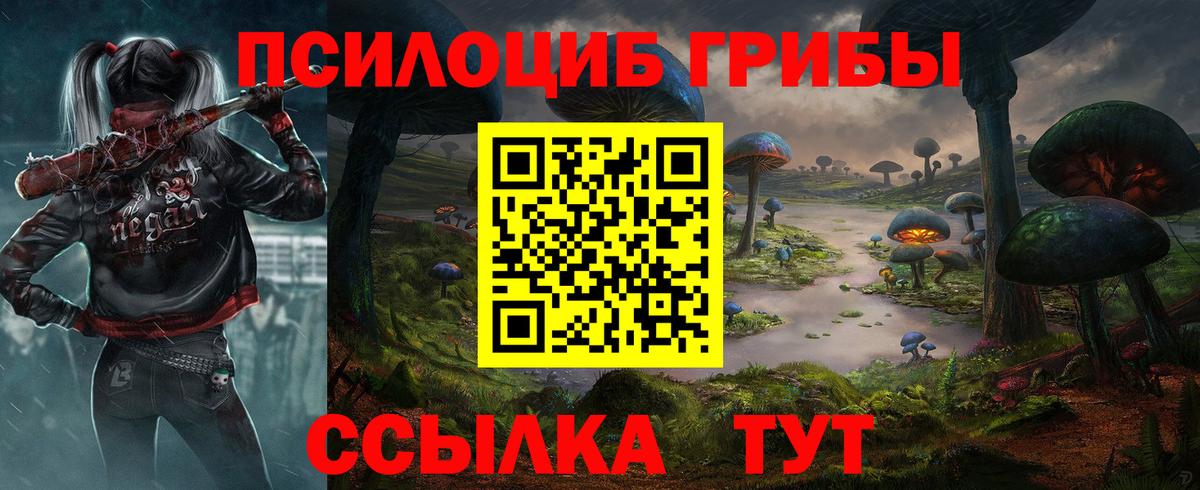 Псилоцибиновые грибы Psilocybine cubensis Белгород